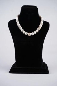 One row south sea white pearl mala